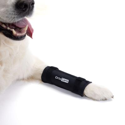 Ortocanis - Carpal Support for Dogs | Carpal Instability or Osteoarthritis, Carpal Hyperextension | Stabilizes and Reduces Pain | Neoprene and Metal Splints Size XL 4.92-5.91"
