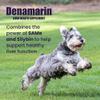 Nutramax Denamarin for Medium Dogs, Liver Health Supplement with S-adenosylmethionine (SAMe) plus Silybin, Liver Support for Dogs, Coated Tablets, 30 Count view 2