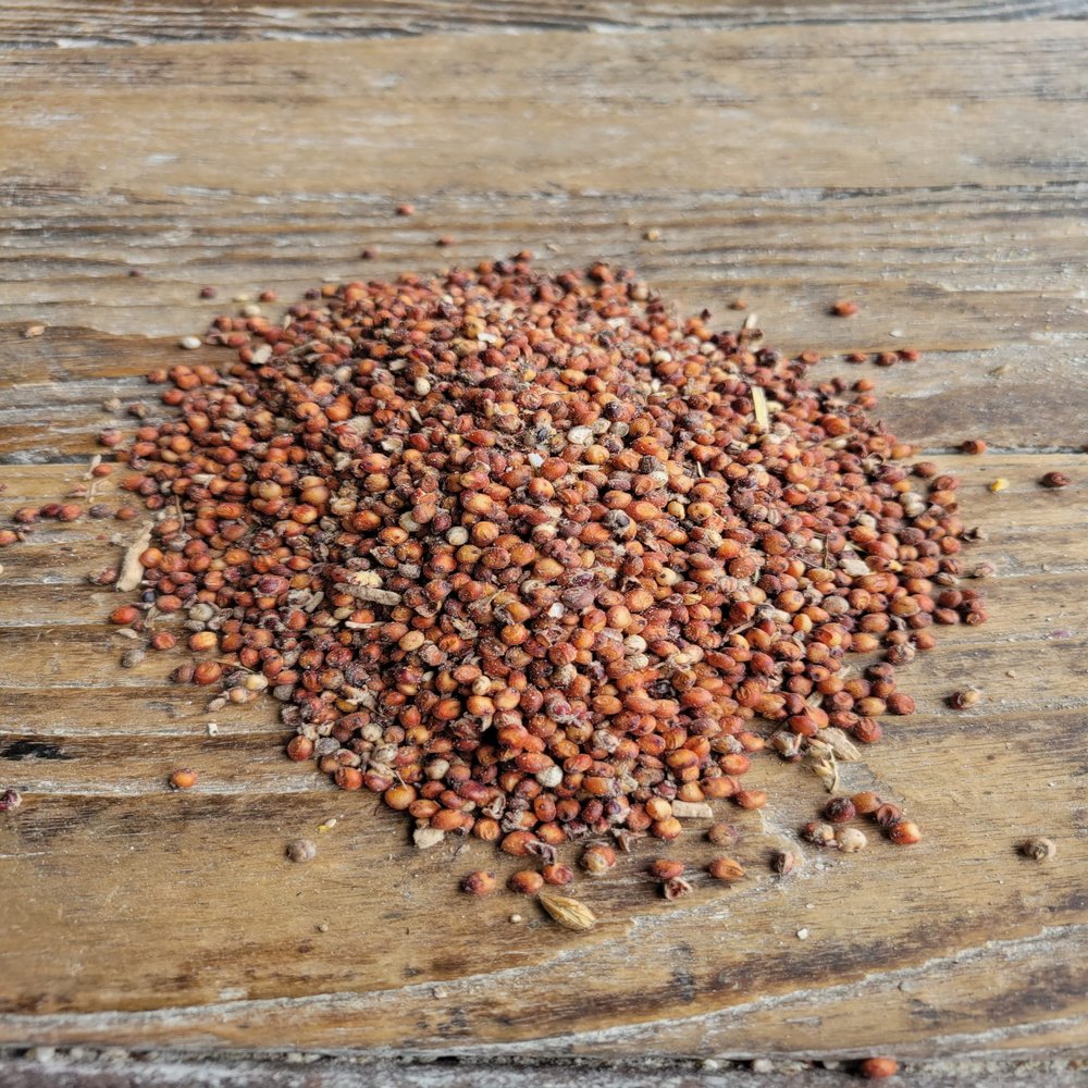Ernst Grain & Livestock Milo, Red Sorghum, Non-GMO, Perfect for Mushroom Growers, 46lbs