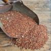Ernst Grain & Livestock Milo, Red Sorghum, Non-GMO, Perfect for Mushroom Growers, 25lbs view 2