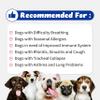 Branvine Respiratory Guardian for Dogs - Supports Lung Health, Nasal, Bronchial and Tracheal (135g) with Quercefit and Respiratory Probiotics view 3