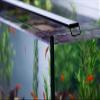 Current USA Satellite Freshwater LED Light for Aquarium, 24 to 36-Inch, Black view 4
