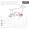 Walkabout Canine Compression Sleeve (Black, Large view 3