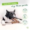 Benebone Wishbone Durable Dog Chew Toy for Aggressive Chewers, Real Bacon, Made in USA, Medium view 3