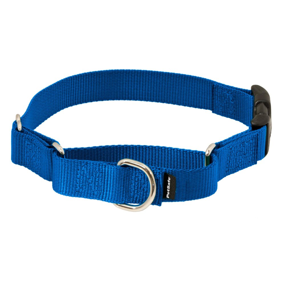 PetSafe Martingale Dog Collar with Quick-Snap Buckle - Large, 1 Inch, Royal Blue