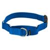 PetSafe Martingale Dog Collar with Quick-Snap Buckle - Large, 1 Inch, Royal Blue view 1