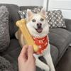Nylabone Power Chew Classic Bone Chew Toy for Dogs, Durable Dog Toys for Aggressive Chewers, Peanut Butter Flavor, Large/Giant - Up to 50 lbs. (1 Count) view 2
