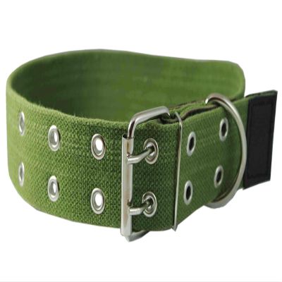 Heavy Duty Cotton Web and Leather Dog Collar 1.75" Wide. Fits 19"-27" Neck XLarge Cane Corso, Rottweiler, Mastiff