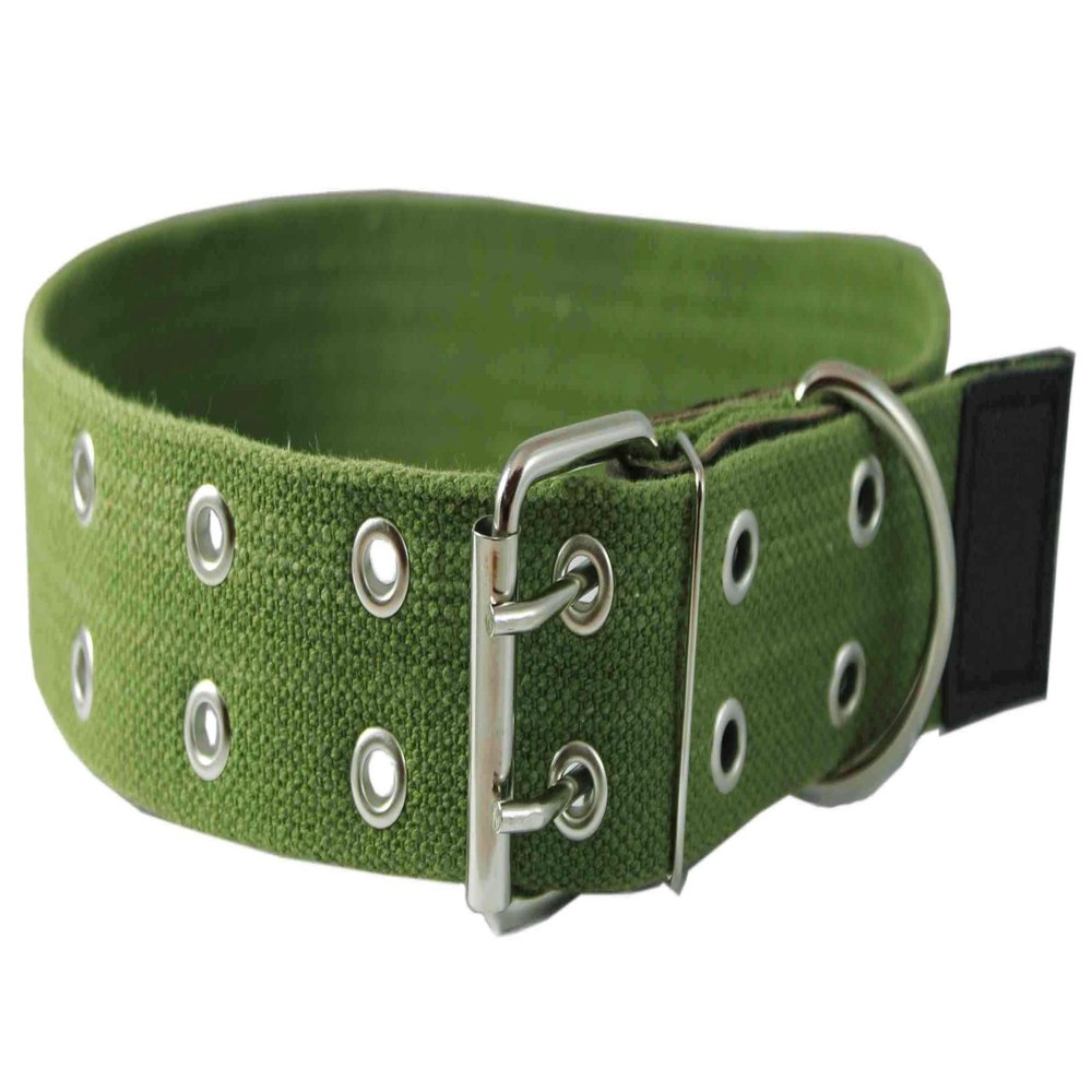 Heavy Duty Cotton Web and Leather Dog Collar 1.75" Wide. Fits 19"-27" Neck XLarge Cane Corso, Rottweiler, Mastiff