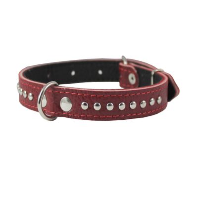 Genuine Leather Studded Padded Dog Collar 15" x5/8" Wide Fits 10"-13" Neck, Pomeranian, Chihuahua, Puppies