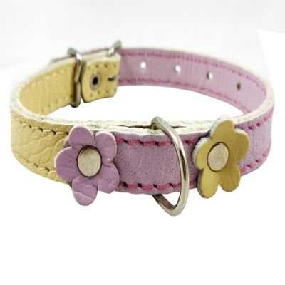 Genuine Leather Designer Dog Collar, Daisy, Studs. 11" x1/2" Wide. Fits 8"-10" Neck, Yorkshire Terrier, Puppies, Maltese