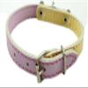 Genuine Leather Designer Dog Collar, Daisy, Studs. 11" x1/2" Wide. Fits 8"-10" Neck, Yorkshire Terrier, Puppies, Maltese view 3