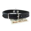 Black Genuine Leather Felt Padded Dog Collar 13" x1/2" Wide Fits 9"-12" Neck, Maltese, Yorkshire Terrier, Puppies view 1