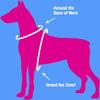CuteNFuzzy Comfort Mesh Dog Harness, Orange, Small view 4