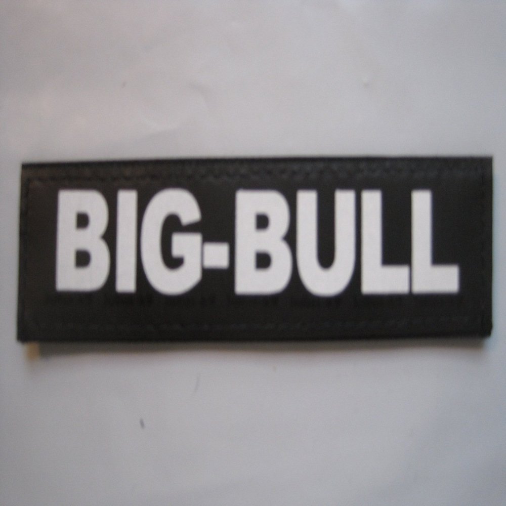 BIG-BULL (Small) julius-k9 Pkg of 2 Reflective Labels for Harness