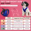 Gooby Comfort X Head in Harness - Blue, Large - No Pull Small Dog Harness, Patented Choke-Free X Frame - Perfect on The Go Dog Harness for Medium Dogs No Pull or Small Dogs for Indoor and Outdoor Use view 4