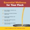 Flock PRO Hen Boost - Digestive Supplement for Hens | Chicken Vitamins and Supplements | Probiotics, Digestive Enzymes, Electrolytes for Adult Poultry-8 OZ view 2