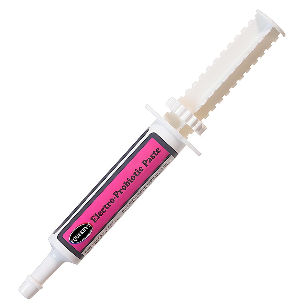 Equerrys Electro-Probiotic Paste for Horses - 30g | Equine Probiotics & Electrolytes for Stressed Horses | Easy Oral Syringe | Made in USA