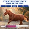 Equerrys Electro-Probiotic Paste for Horses - 30g | Equine Probiotics & Electrolytes for Stressed Horses | Easy Oral Syringe | Made in USA view 3