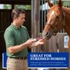 Equerrys Electro-Probiotic Paste for Horses - 30g | Equine Probiotics & Electrolytes for Stressed Horses | Easy Oral Syringe | Made in USA view 4