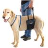 GINGERLEAD Dog Rear Support Sling Harness, M/LG Unisex with Cutout Fits Male & Female Dogs. Padded Hip Lifting Aid Helps Old Pets Walk, K9s Recover from TPLO Surgery. Integrated Leash. Made in U.S.A. view 1
