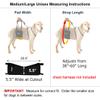 GINGERLEAD Dog Rear Support Sling Harness, M/LG Unisex with Cutout Fits Male & Female Dogs. Padded Hip Lifting Aid Helps Old Pets Walk, K9s Recover from TPLO Surgery. Integrated Leash. Made in U.S.A. view 2