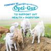 Manna Pro Goat Kid Milk Replacer - High in Protein to Support Growth - Powered by Opti-Gut to Support Gut Health & Digestion - Easy-to-Mix Formula - 8 Pounds view 4