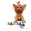 Kess InHouse Graham Curran Turtle Tuba Feeding Mat for Pet Bowl, 24 by 15-Inch view 1