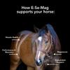 MVP E-Se-Mag (10lb) for Muscle Function & Recovery in Horses view 2