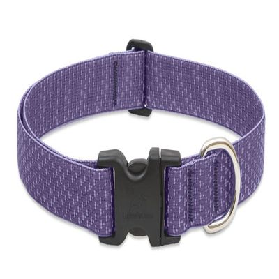 LupinePet Eco 1" Lilac 16-28" Adjustable Collar for Large Dogs