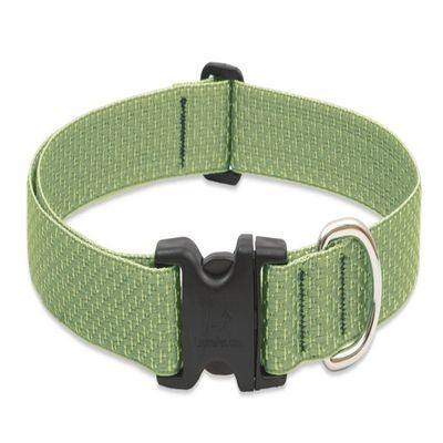 LupinePet Eco 1" Moss 16-28" Adjustable Collar for Large Dogs