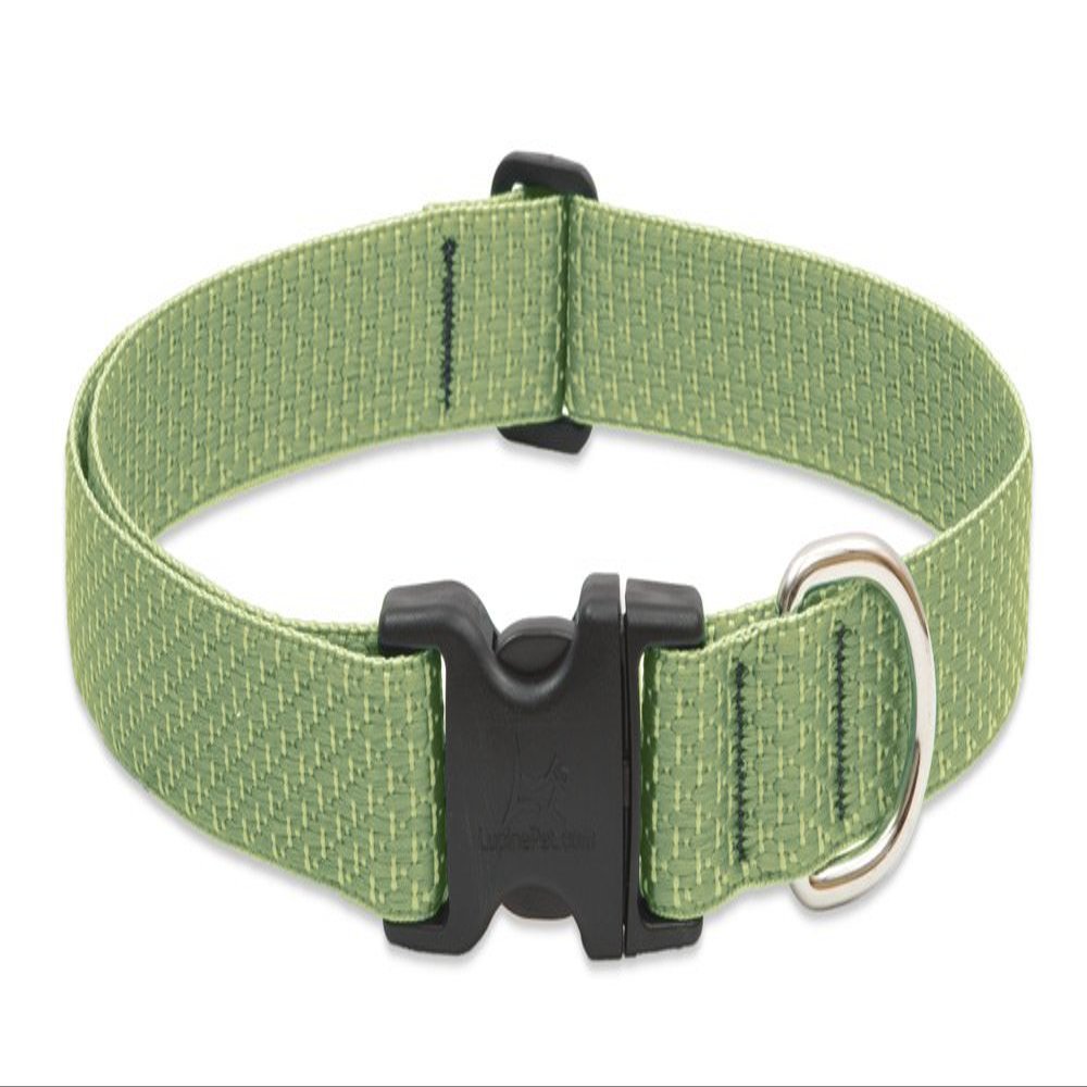LupinePet Eco 1" Moss 16-28" Adjustable Collar for Large Dogs