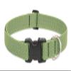 LupinePet Eco 1" Moss 16-28" Adjustable Collar for Large Dogs view 1