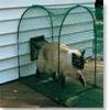 Kittywalk Deck and Patio Outdoor Cat Enclosure Green/48x18x24 view 3