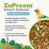 ZuPreem Smart Selects Daily Bird Food for Parrot, Conure, Caique, African Grey, Eclectus, Small Cockatoo, Bird Pellets and Seed Blend, Nutrition for Medium Large Birds, Parrot Food (ML, 4 lbs) view 2