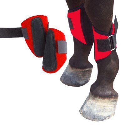 Intrepid Colored Miniature Splint Boots Leg Protection Tack Mini (Red)