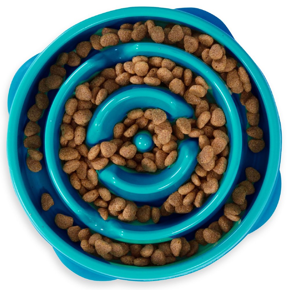 Outward Hound Fun Feeder Slo Bowl Medium 2Cup Capacity, Slow Feeding, Small to Medium Dogs & Cats, Non-Slip, Turquoise, Drop Pattern