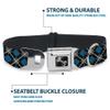 Buckle-Down Dog Collar Seatbelt Buckle Argyle Black Gray Turquoise Multi Color, 1"" Wide - fits 11-17"" Neck - Medium (DC-W30101-M) view 4