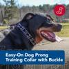 Coastal Pet Titan Easy-On Dog Prong with Buckle - Training Collar for Dogs - Durable Metal Dog Collar - Training Collar with Side Release Buckle - Black, 4 mm x 22" view 2