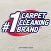 Resolve+Pet+Expert+High+Traffic%2c+Carpet+Foam%2c+22+oz+(Pack+of+10) view 2