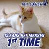 Resolve+Pet+Expert+High+Traffic%2c+Carpet+Foam%2c+22+oz+(Pack+of+10) view 3