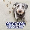 Resolve+Pet+Expert+High+Traffic%2c+Carpet+Foam%2c+22+oz+(Pack+of+10) view 4