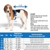 Derby Originals Horse Tough 600D Ripstop Waterproof Winter Dog Coat 150g Medium Weight view 2
