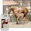 UltraCruz-sc-395295 Equine Conditioner for Horses, 16 oz,White view 3