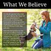 Nutri-Vet Bitter Bandage for Dogs and Cats - Help Prevent Chewing - 3 inches view 4