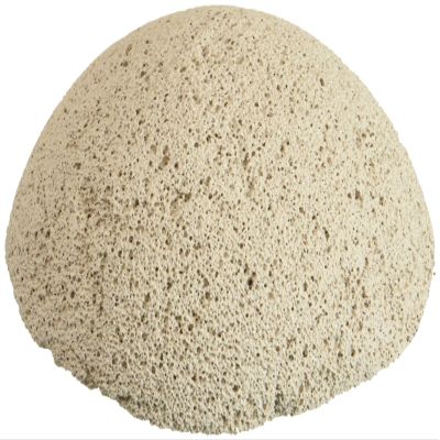 Brightwell Aquatics 8 count Bri Frag Hemixspheres 2"
