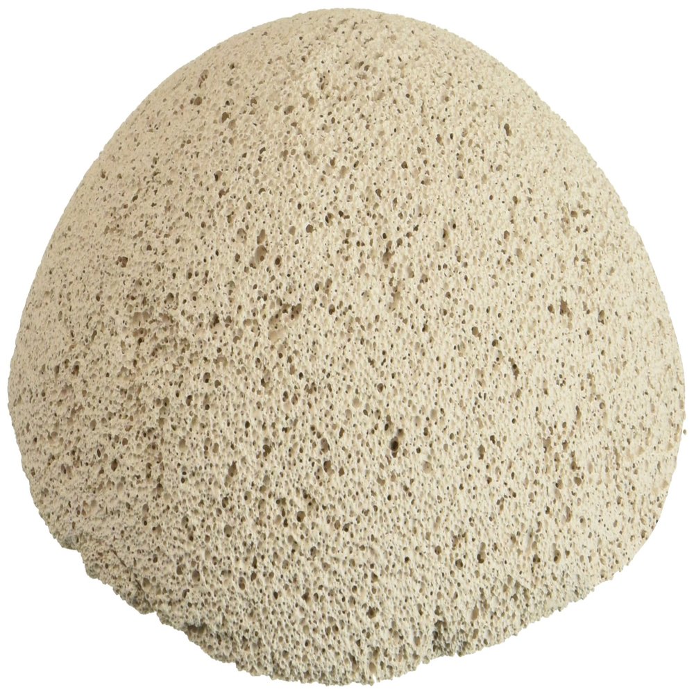 Brightwell Aquatics 8 count Bri Frag Hemixspheres 2"