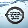 Two Little Fishies MagFeeder Magnetic Feeding Ring view 2
