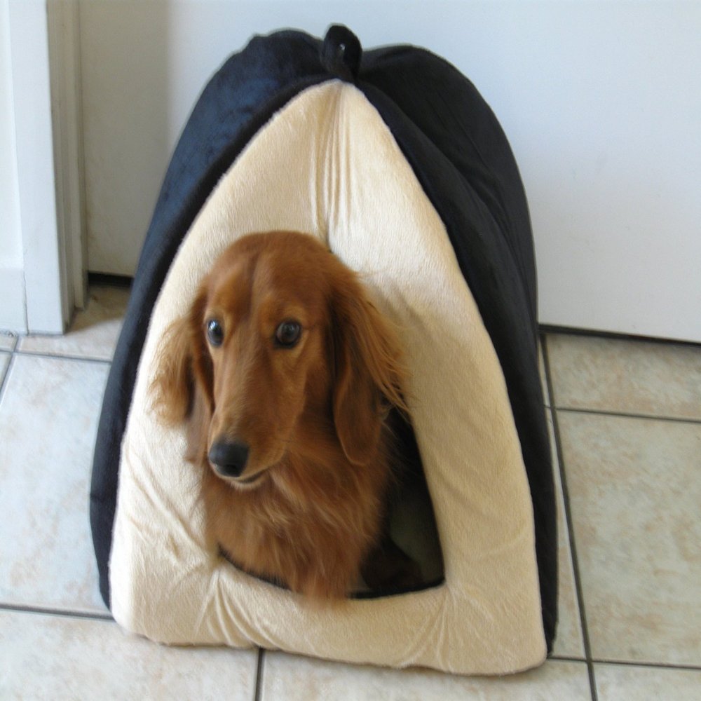 Pet House Indoor is a Perfect Getaway Haven for Little Pets - Front to Rear 16" x Left to Right 16" x Centre Point To Innertop 14.5" Small Dogs and Cats Can Relax in Warm Dome - Removable Cushion for Cleaning