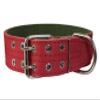 Genuine Leather Dog Collar 1.75" Wide Padded (Neck Circumference: 18.5"-21.5", Red) view 1